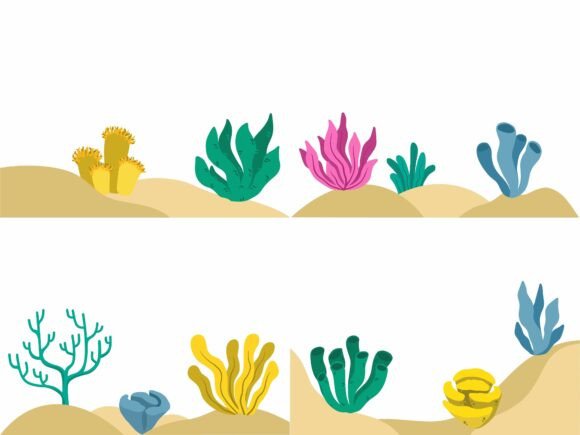 Coral Reef Underwater Sea Illustration