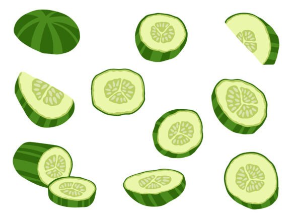 Cucumber Sliced Illustration