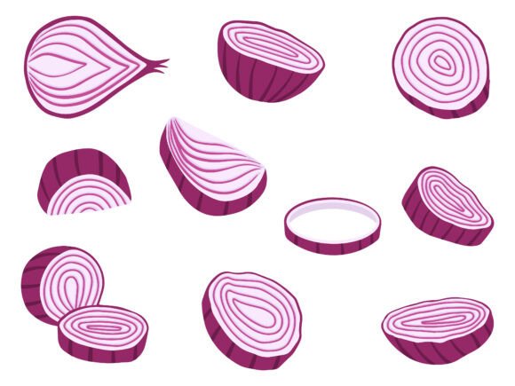 Red Onion Slice Illustration